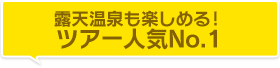 露天温泉も楽しめる！